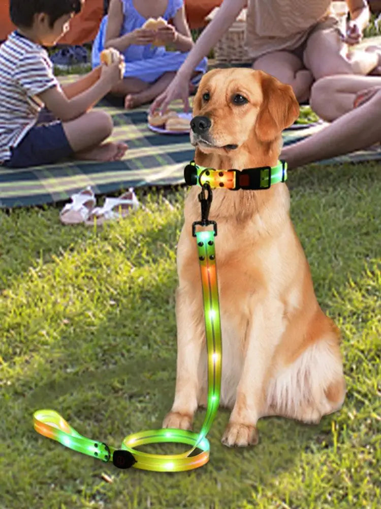 Glowing Dog Collar And Leash