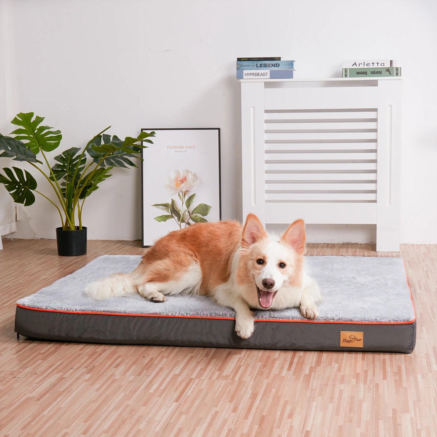 Orthopedic Dog Bed- Waterproof Washable Cover