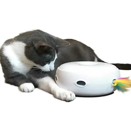 Donut Shape Interactive  Smart Cat Toy  D