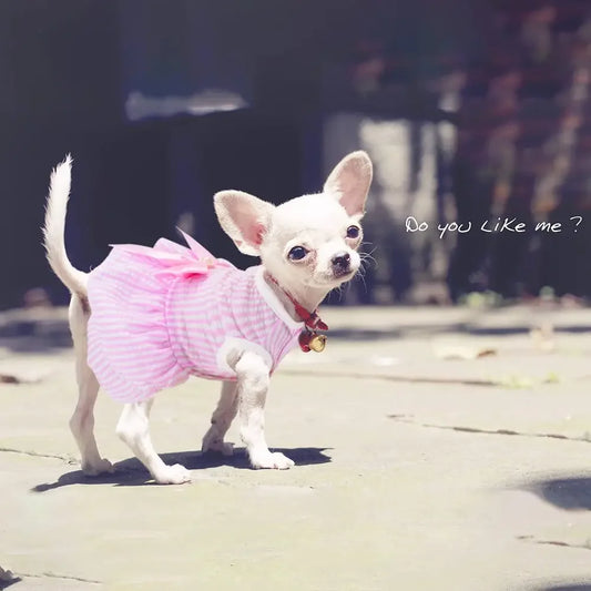 Dog Dresses  Small Dogs Cats Puppy Clothes Summer Princess Pet Dresses Girl Female Doggies Tutu Skirt Apparel  Chihuahua