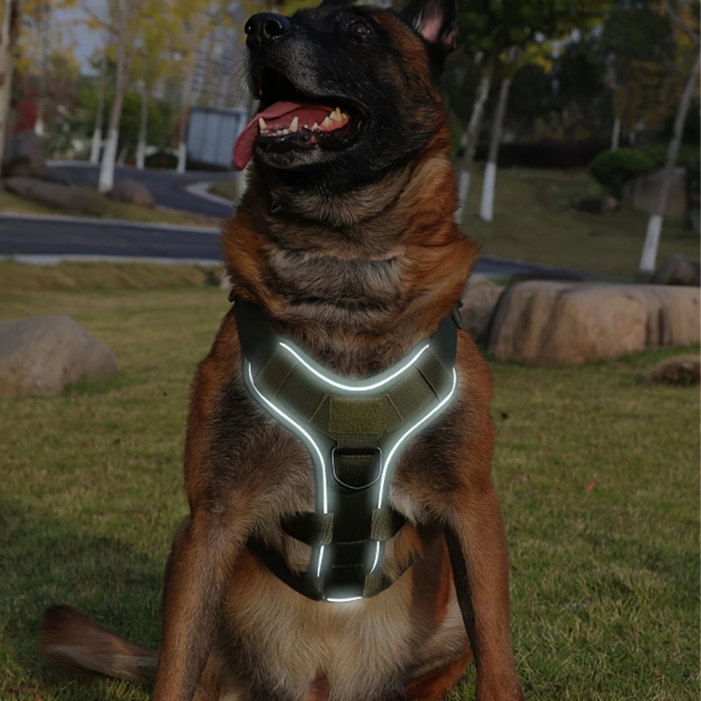 Heavy-Duty Dog Tactical Harness -