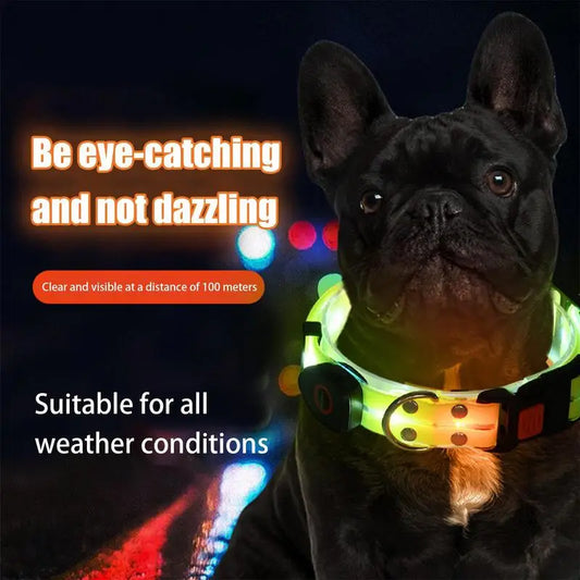 Glowing Dog Collar And Leash
