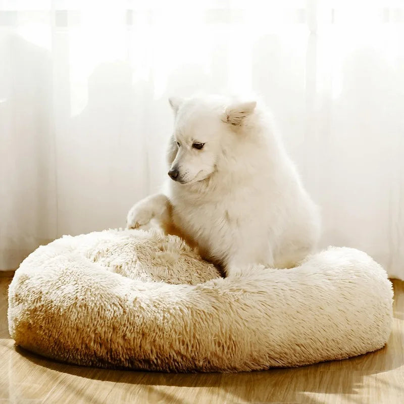 Small Dog Beds - Donut Cuddler Pet Bed