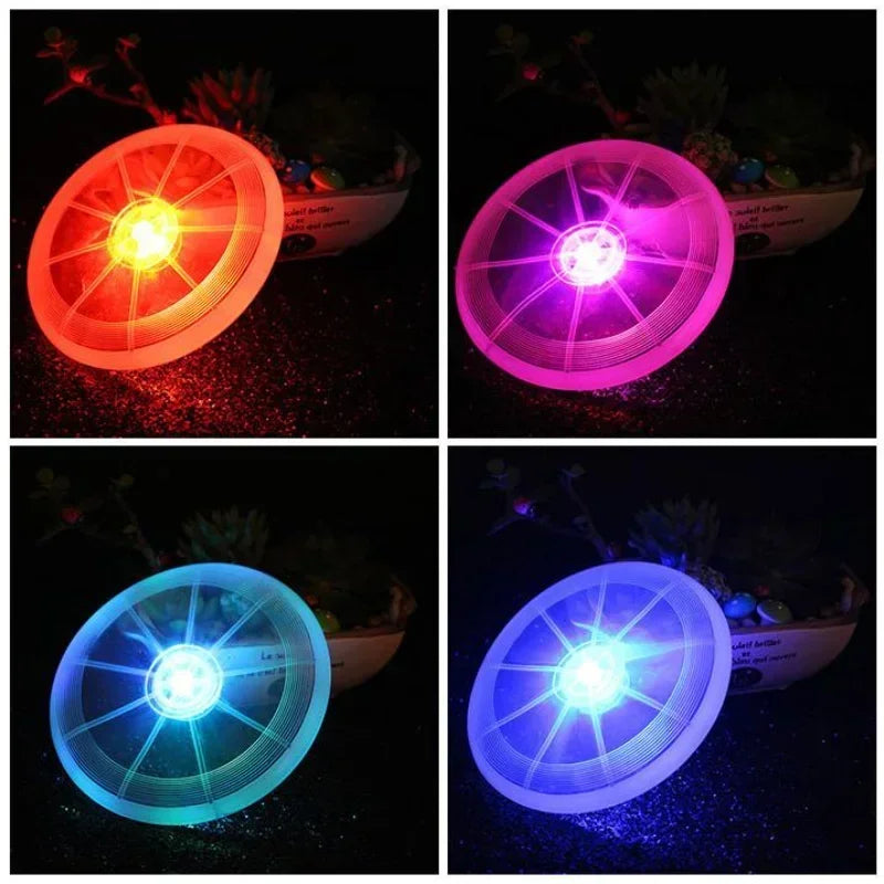 LED luminous flying disk - dog training