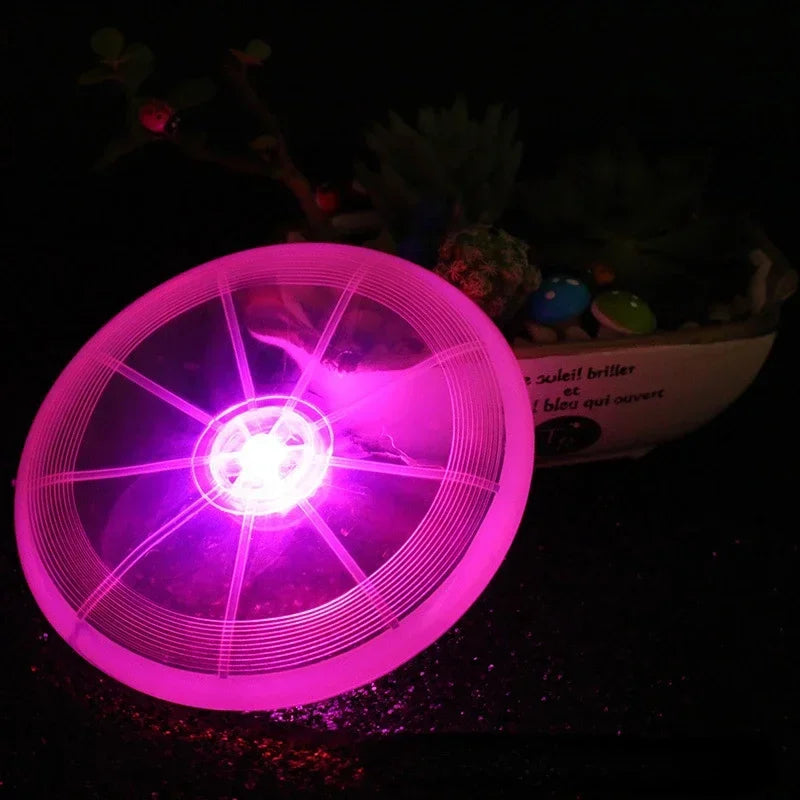 LED luminous flying disk - dog training