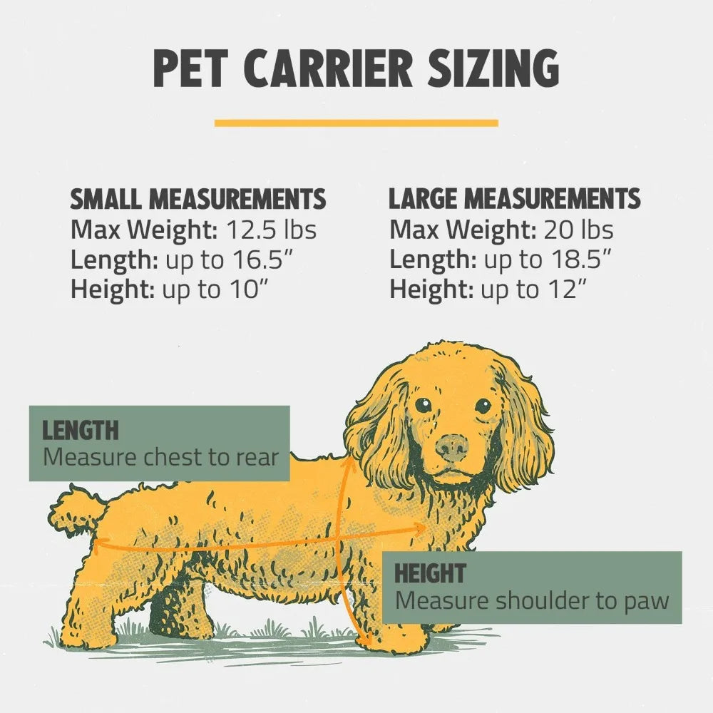 Airline-Compliant Pet Carrier with Leash