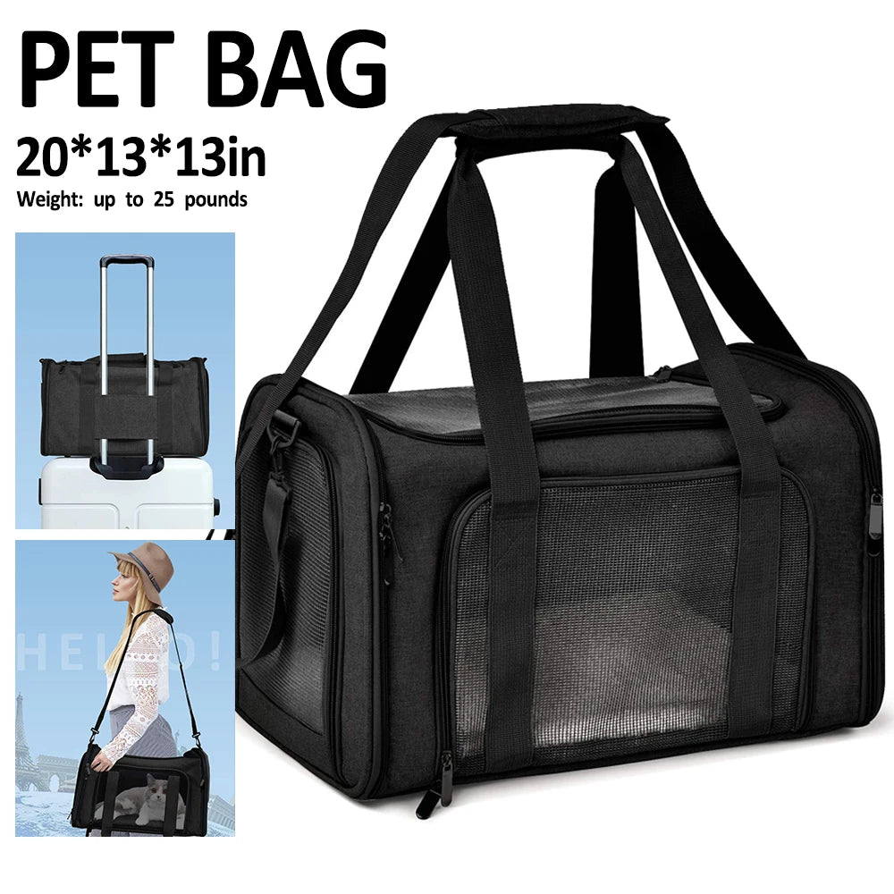 Large Cat Carriers - Small Dog Carrier