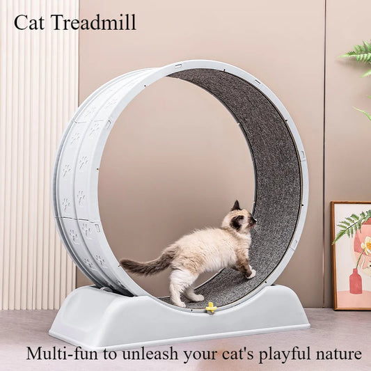 Treadmill for cats, - easy-to-assemble