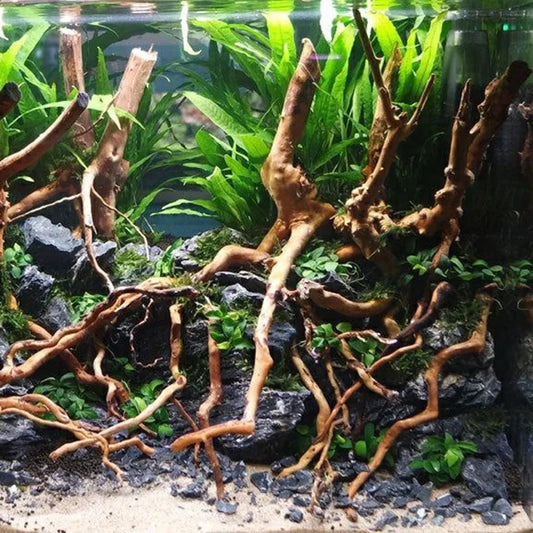 Aquarium Landscape Root Trunk Tree