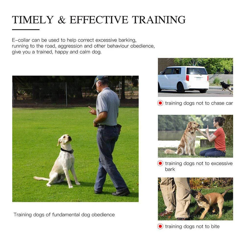 Anti Barking Collar - Dog Training