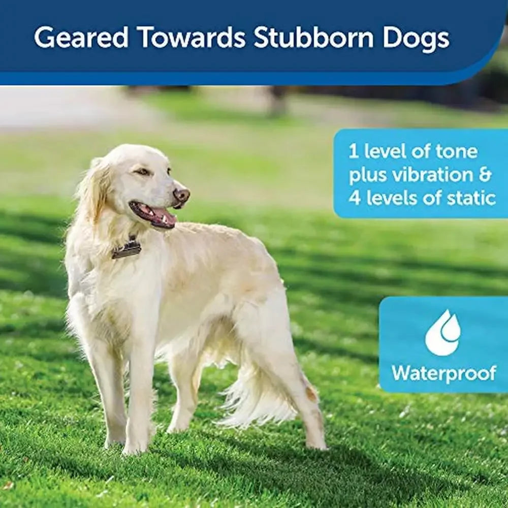 In-Ground Pet Fence, Tone & Vibration, Waterproof Collar