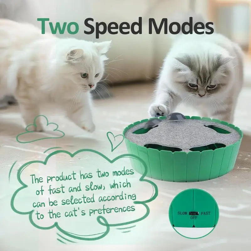 Whack-a-mole Electric Cat Toy