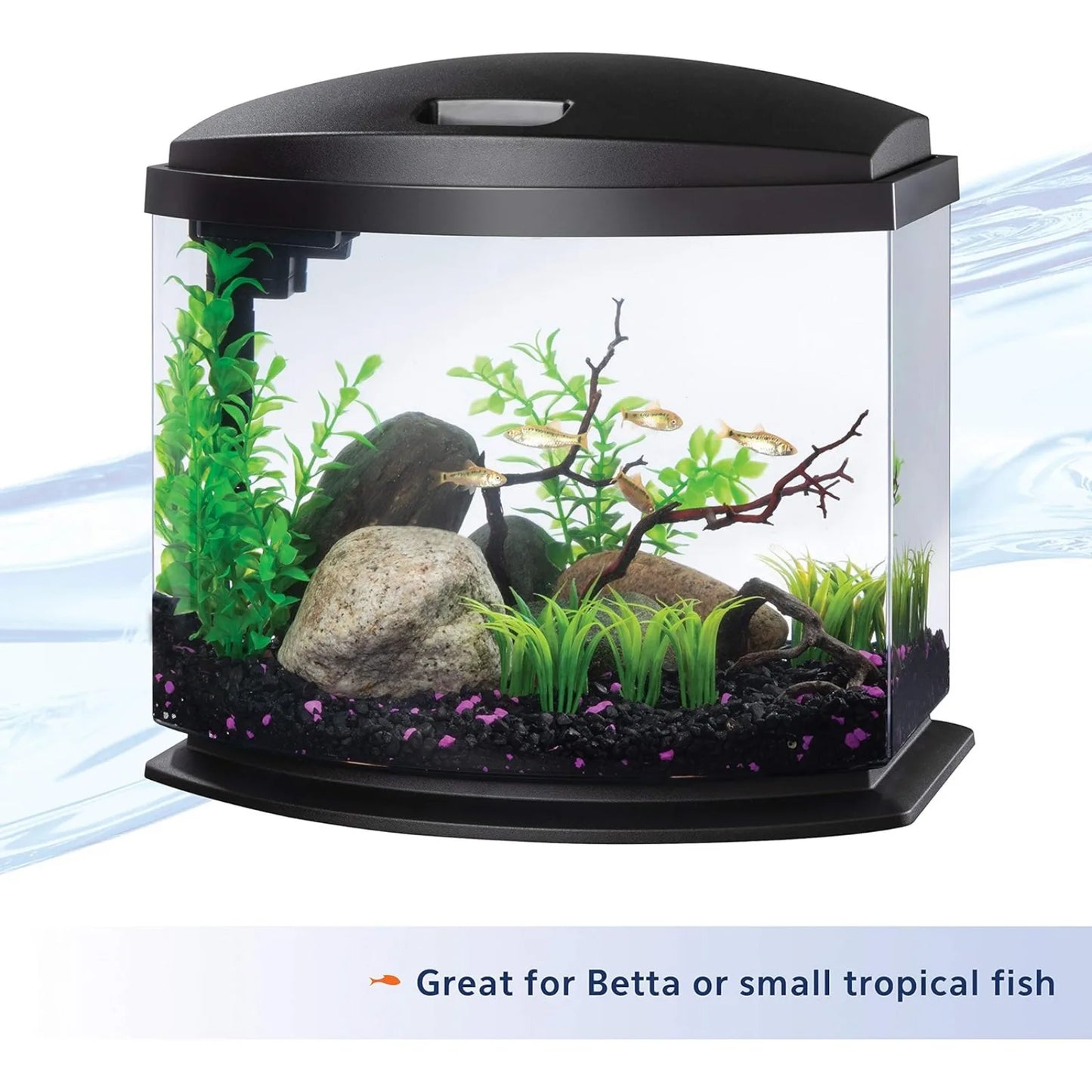 LED  Small Aquarium Fish Tank Kit