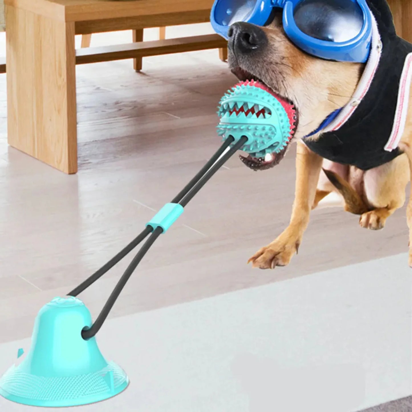 Interactive Silicon Suction Cup Dog Ball