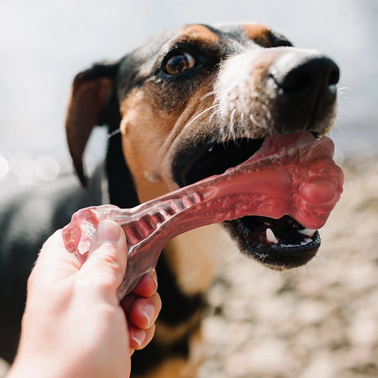 Dog Chewers Bone-Shaped - Indestructible Toys