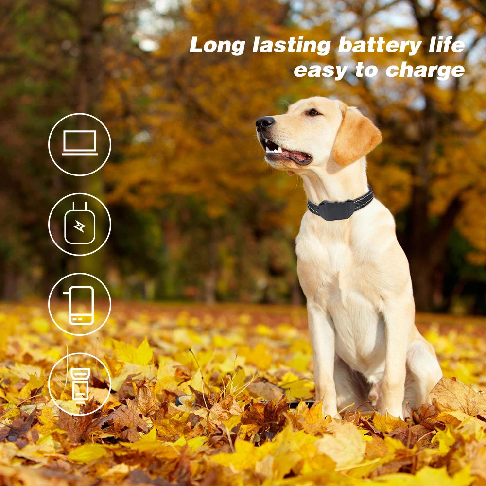 Dog Training Collar - Rechargeable  Waterproof