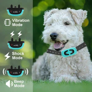 Dog Training Collar with Remote Control