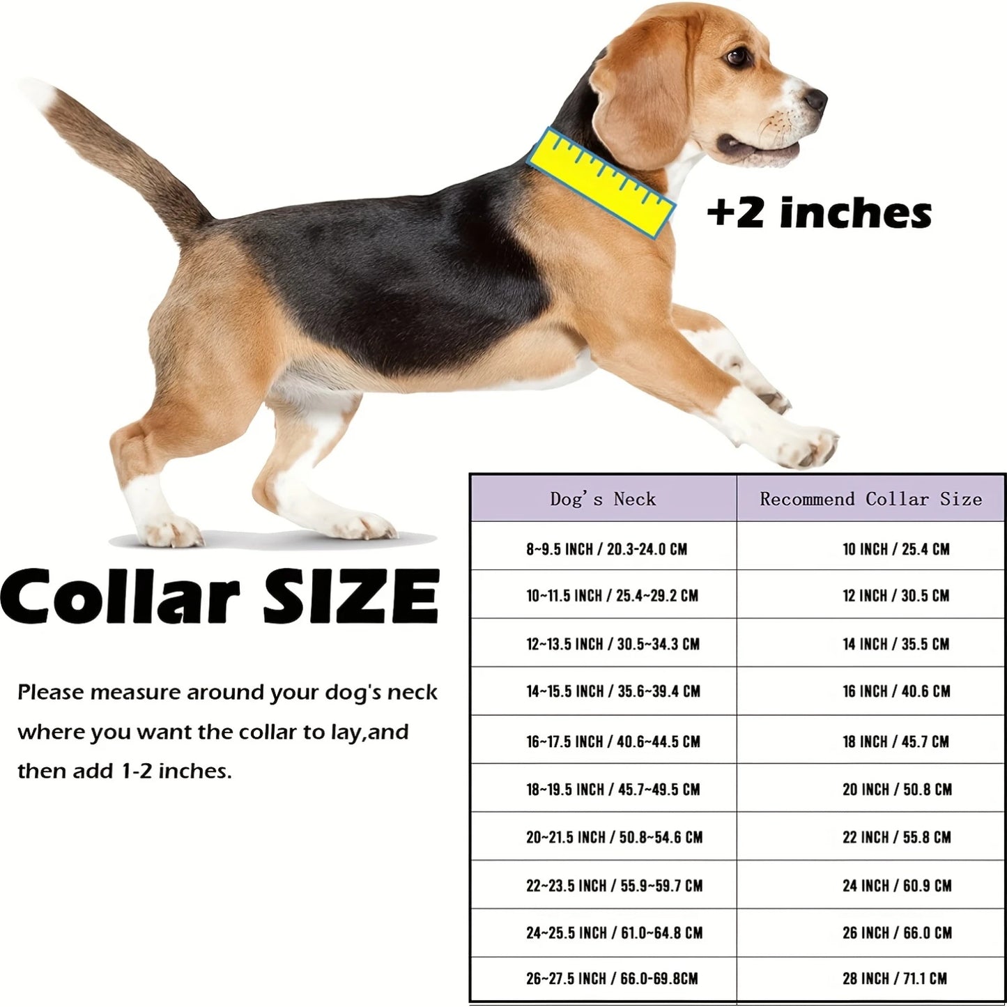 Stainless Steel Dog Collars - Safety Buckle Lock