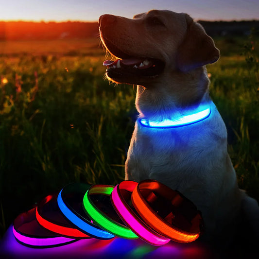 Luminous Dog Collar -  Waterproof Safety Collars