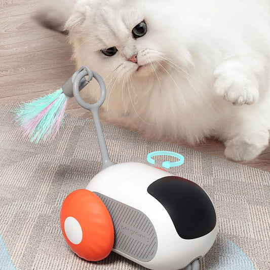 Smart Remote Control  Interactive Cats Toy