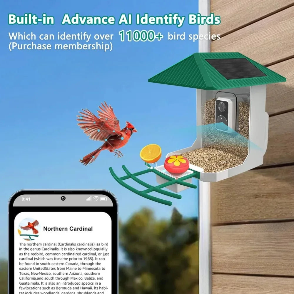 Smart Bird Feeder with Camera, AI Identify Bird Species,