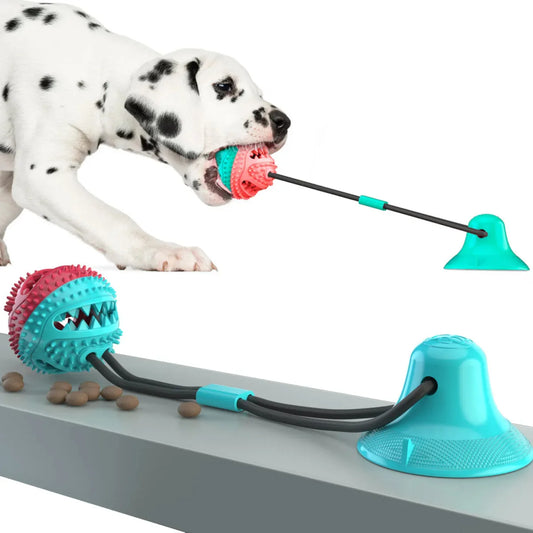 Interactive Silicon Suction Cup Dog Ball