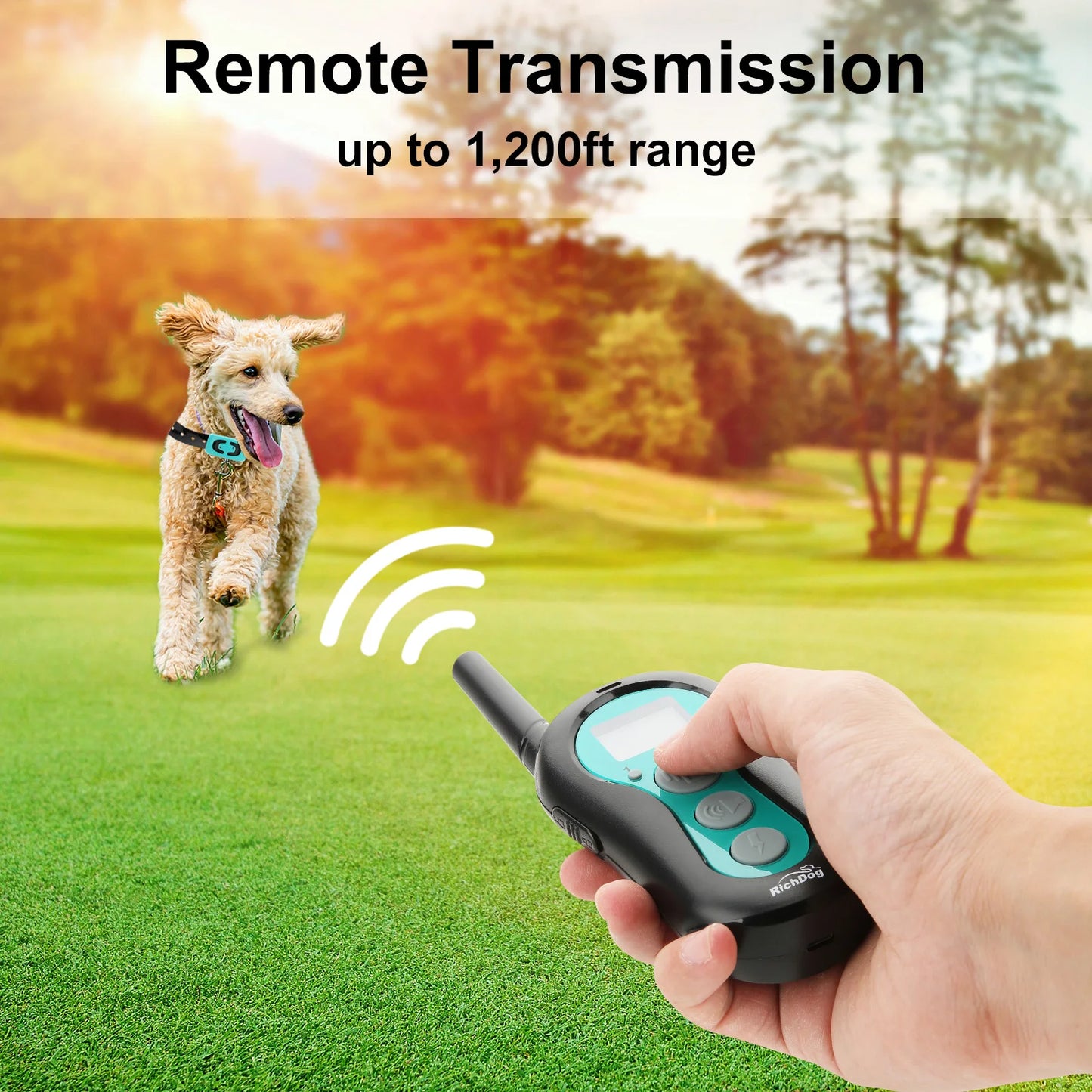 Dog Training Collar with Remote Control