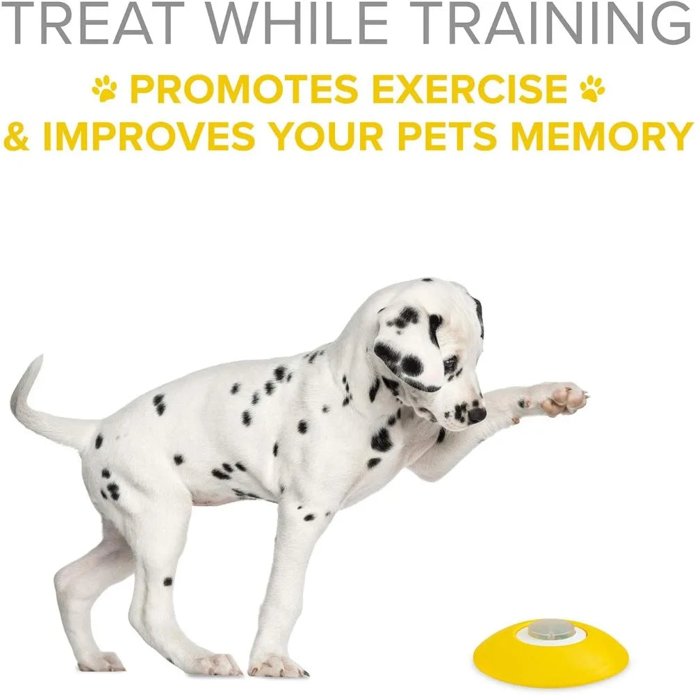 Dog Treat Dispenser - Dog Memory Training Activity