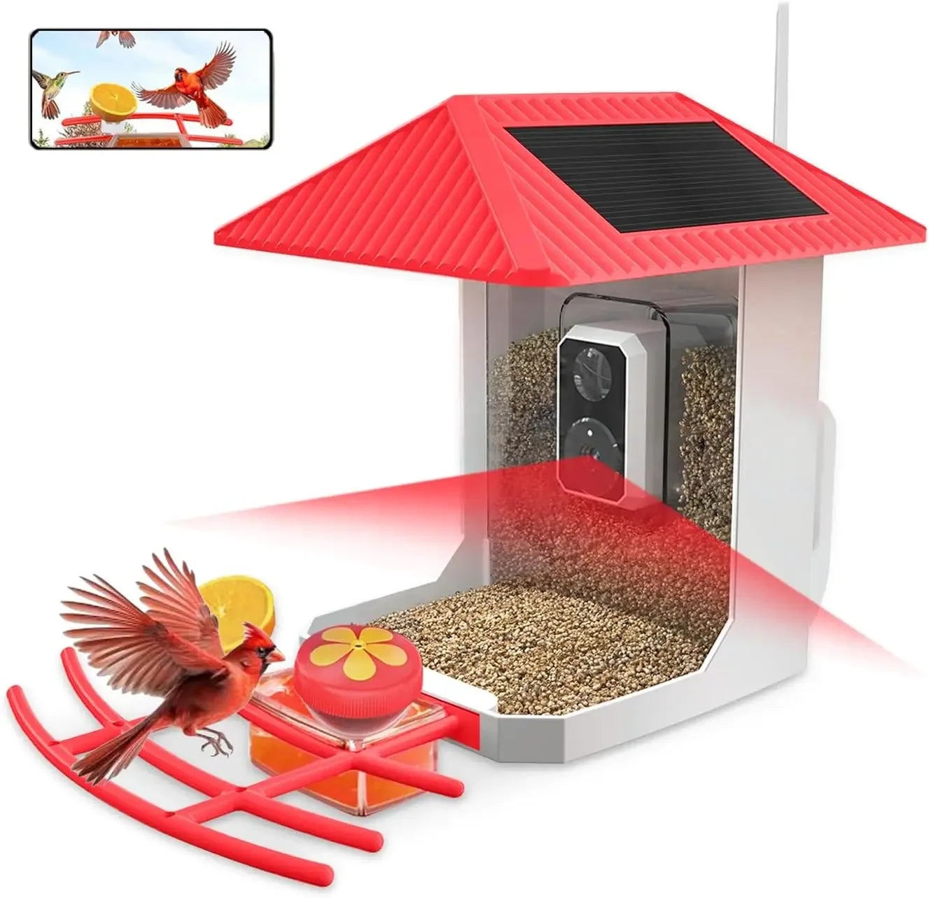 Smart Bird Feeder with Camera, AI Identify Bird Species,