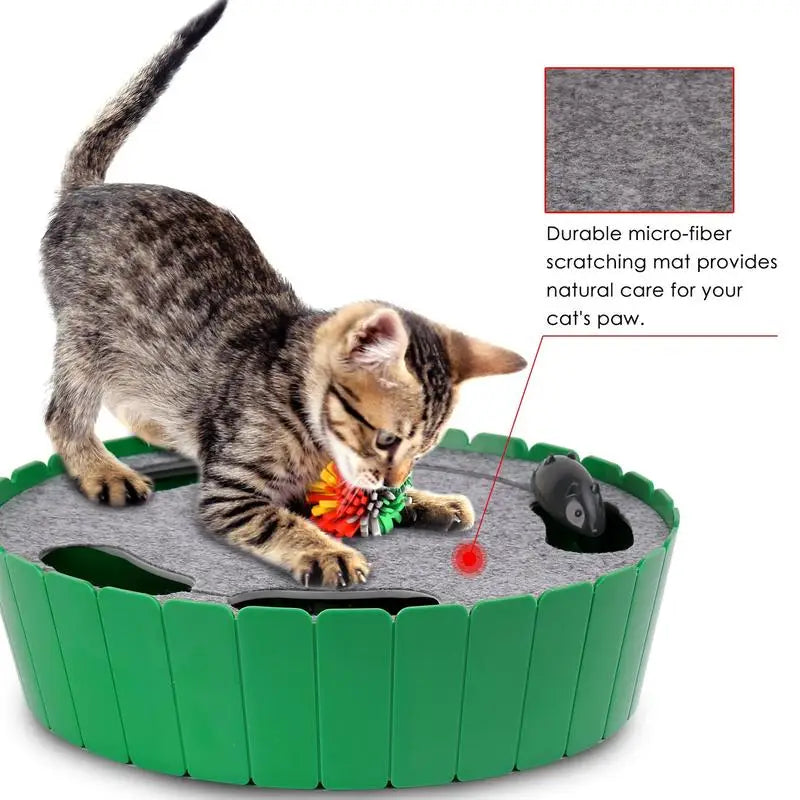 Whack-a-mole Electric Cat Toy