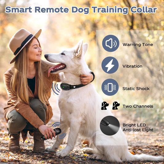 Dog Shock Collar With Remote, Waterproof With Adjustment Levels